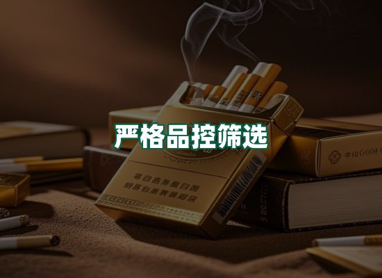 核心优势